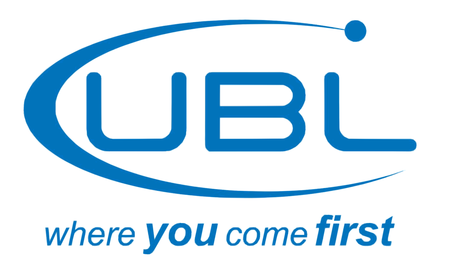 Professional Website Development Company